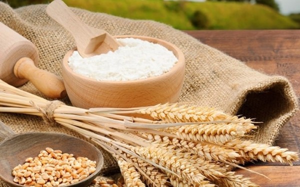 Các yếu tố ảnh hưởng đến hàm lượng protein có trong bột mì số 8