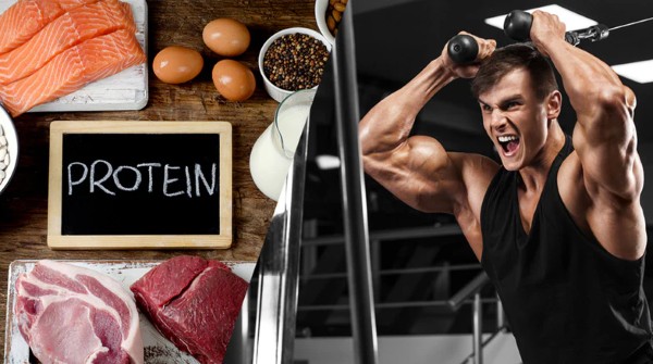 Protein trong cá hồi là lựa chọn lý tưởng đối với người tập gym và vận động viên