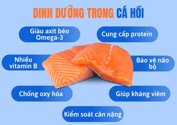 Cá hồi còn cung cấp nhiều dưỡng tốt cho sức khỏe