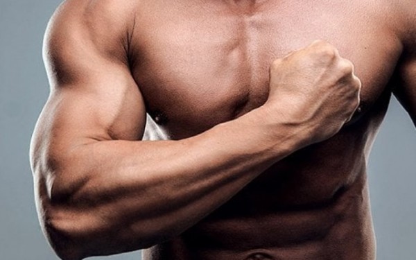 Protein trong gan gà đóng vai trò then chốt trong việc xây dựng và phát triển cơ bắp