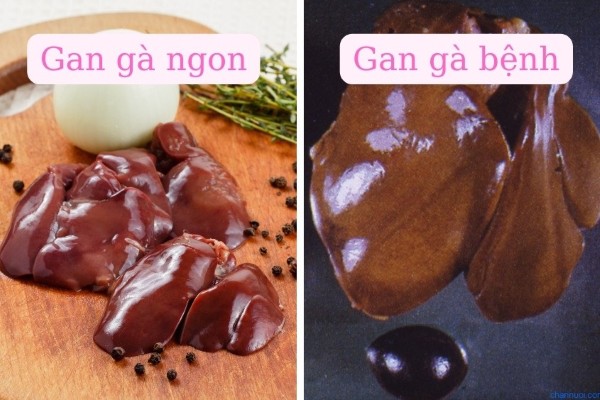 Cách chọn mua và chế biến gan gà đảm bảo an toàn vệ sinh thực phẩm