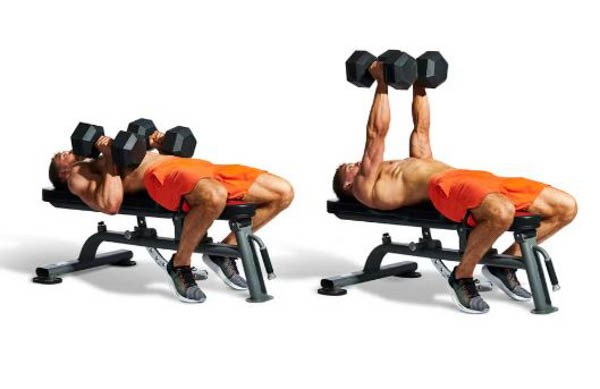 Dumbbell Bench Press – Ngực giữa – Bơm ngực giữa