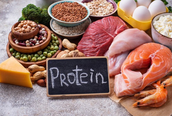 Nguồn thực phẩm giàu protein