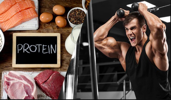 Mức độ hoạt động thể chất