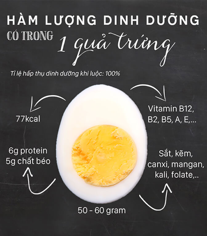 Phân tích thành phần protein trong trứng gà 