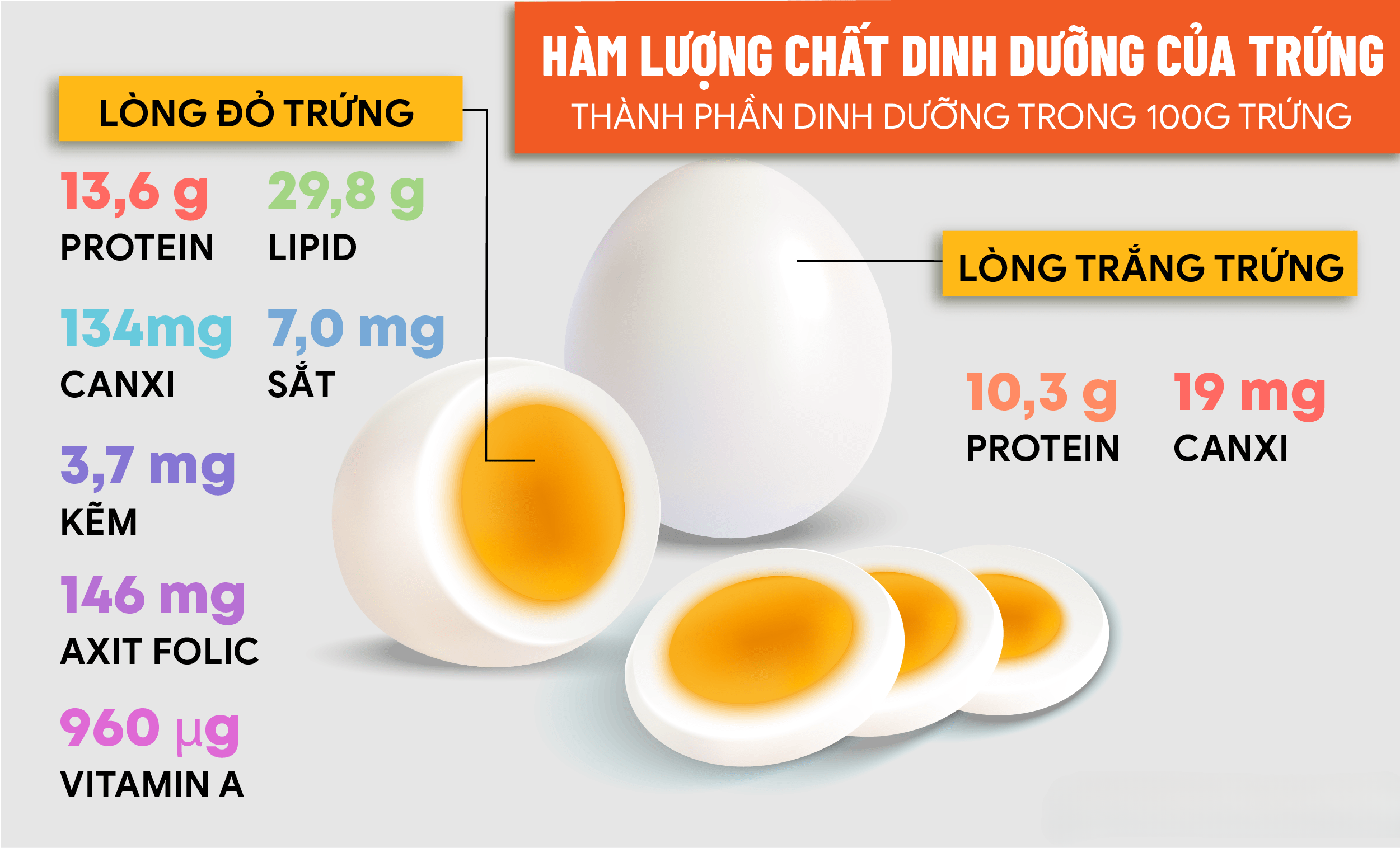 Thành phần dinh dưỡng chi tiết của trứng