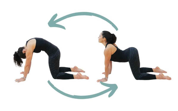 Tư thế Cat-Cow (Marjaryasana-Bitilasana)