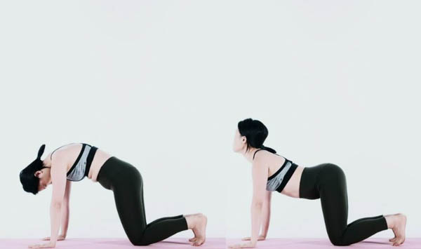 Tư thế mèo-bò nhẹ nhàng (Cat-Cow Pose)