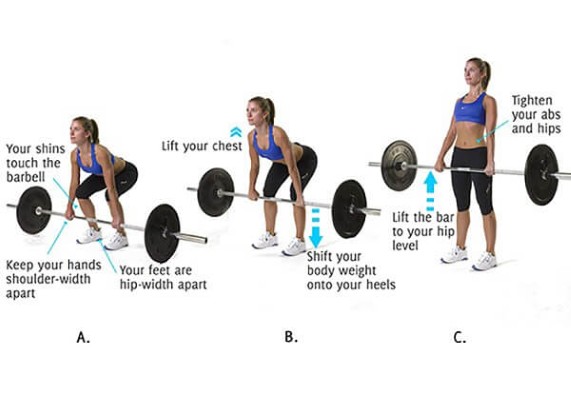 Barbell curl hoàn toàn phù hợp với phụ nữ