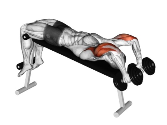 Dumbbell Skull Crusher (Nằm gập tạ sau đầu)