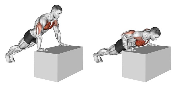 Push-up (chống đẩy)