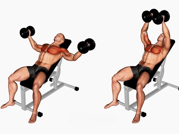 Các lỗi sai phổ biến khi tập dumbbell fly