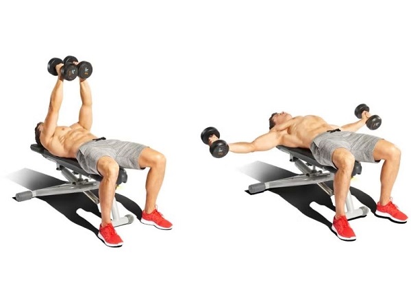 Dumbbell Fly chủ yếu nhắm đến việc phát triển cơ ngực