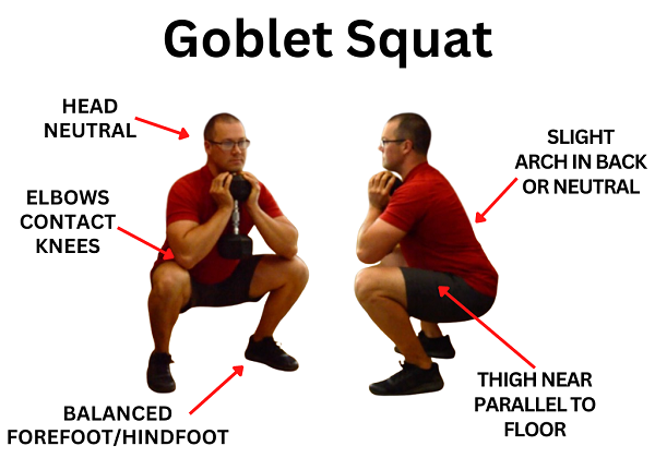 Goblet squat là một bài tập gập người đa năng