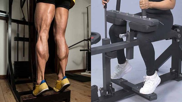 Standing leg curl (gập chân sau đứng)