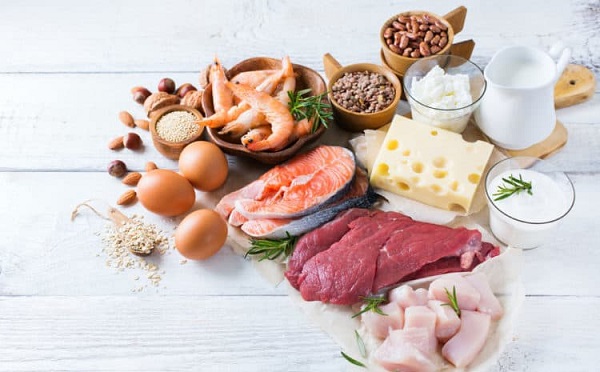 Nguồn thực phẩm từ động vật giàu chất béo bão hòa