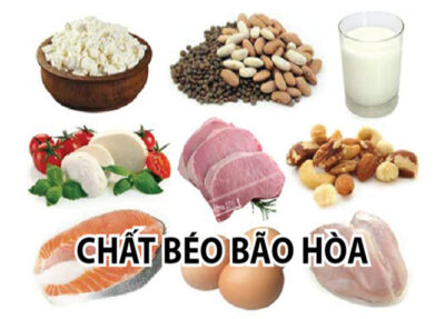Chất béo bão hòa