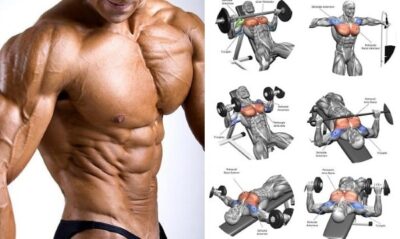 Top 10+ bài tập ngực với tạ đơn hiệu quả cho gymer tăng cơ nhanh