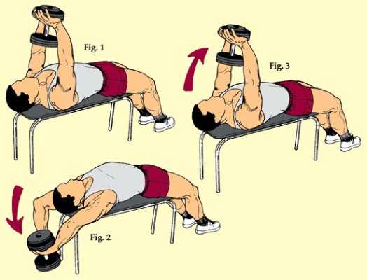 Để có một chương trình tập luyện hiệu quả, việc hiểu rõ về cấu trúc và chức năng của cơ ngực là vô cùng cần thiết