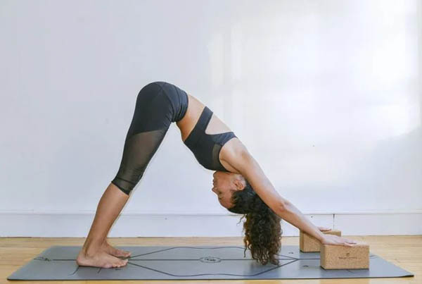 Tư thế Chó Úp Mặt (Downward-Facing Dog)