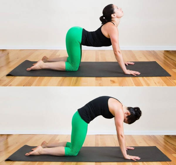 Tư thế Mèo-Bò (Cat-Cow Pose)